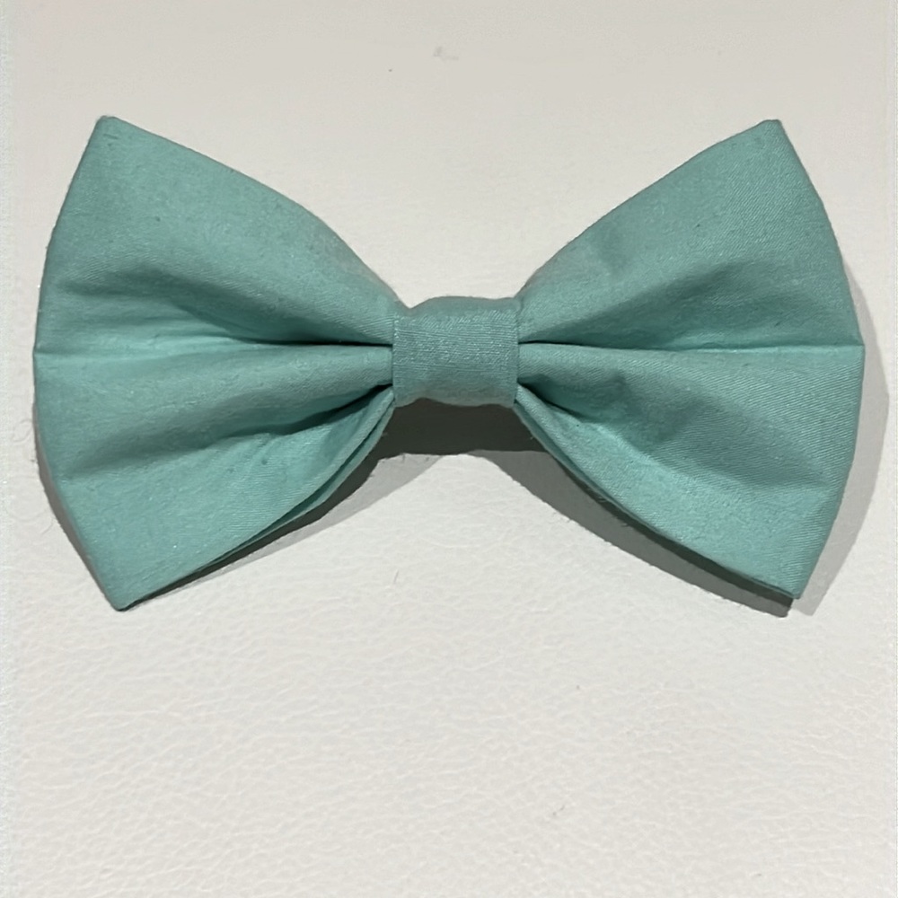 Pastel green hair bow